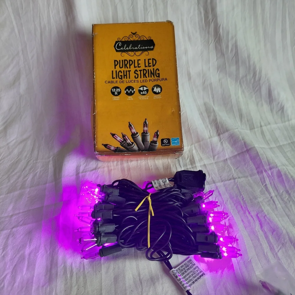 Celebrations Purple LED Light String Mini Lights Indoor/Outdoor 12.25 Ft.